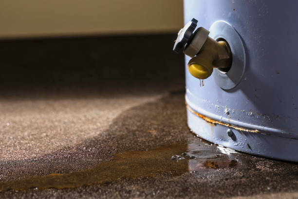 Best 24/7 water damage repair  in Dos Palos, CA