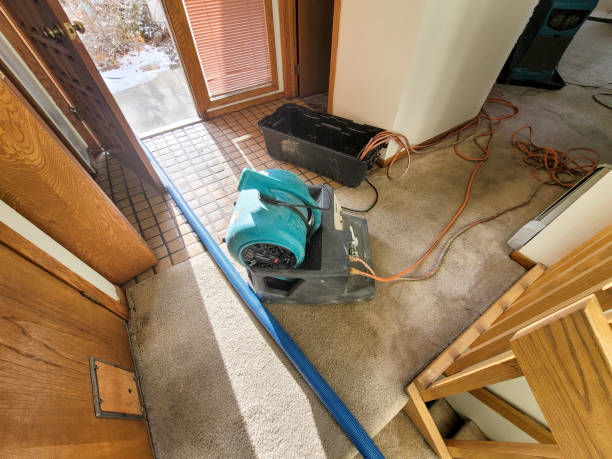 Best Water damage restoration near me  in Dos Palos, CA