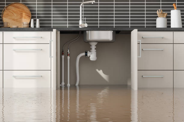 Best Water damage contractors near me  in Dos Palos, CA