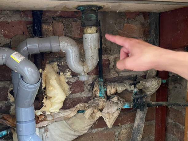 Best Water damage restoration mold remediation  in Dos Palos, CA