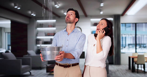 Best Water damage cleanup near me  in Dos Palos, CA